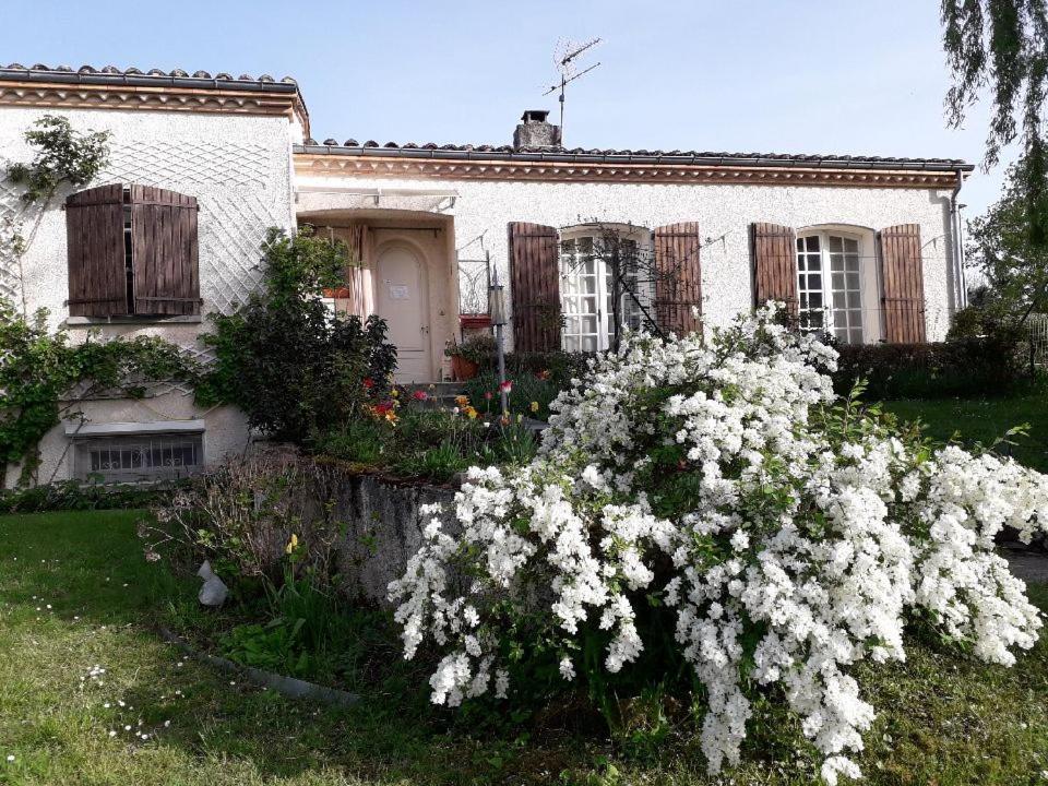 Bed and breakfast Au Soleil d'Albi Extérieur photo
